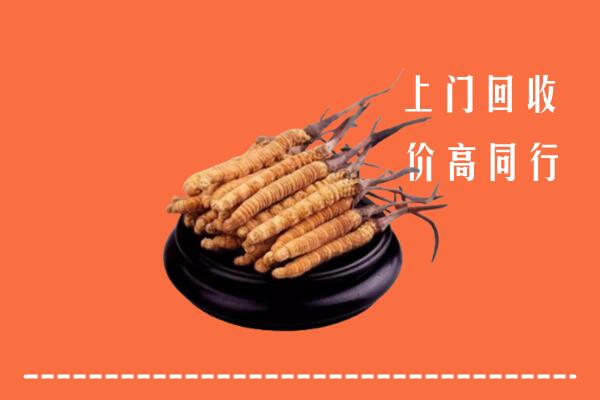 高价求购：岳西县回收散虫草